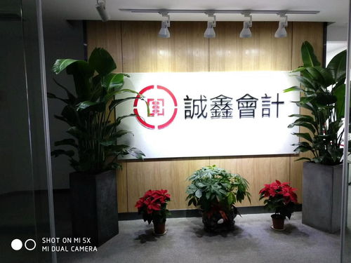 專業伙伴本土力量 湖南誠鑫會計服務集團與賀州企業服務的深度實踐